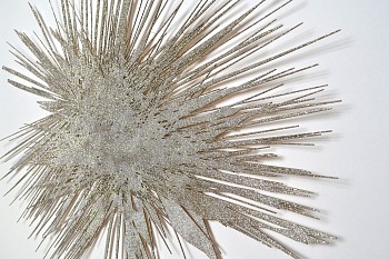 ignite sacramental vision detail