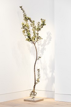 Circa London Install Dan Weill