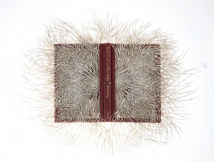 BARBARA WILDENBOER, Semantics (Belief, Truth & Knowledge)
2016, Altered book