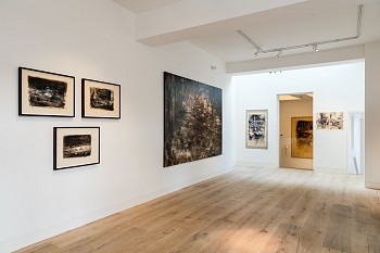 Papetti Install Circa Dan Weill Photography i11172933