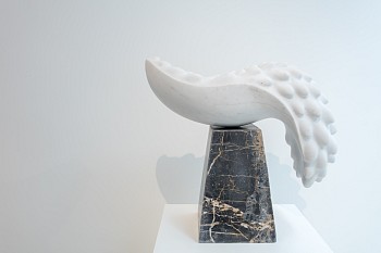 CIRCA Peers Install Dan Weill Photography