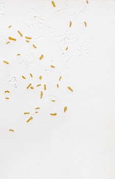 circa summer 16 high res