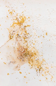 circa summer 16 high res