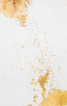 circa summer 16 high res