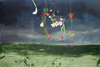 bailey the storm had passed 1