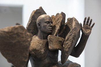 Angus Taylor Install Shots Everard Read Dan Weill Photography