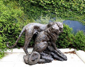 S367 Leopard Pair WEB