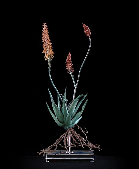 NIC BLADEN, Aloe Hybrid 3
Bronze silver