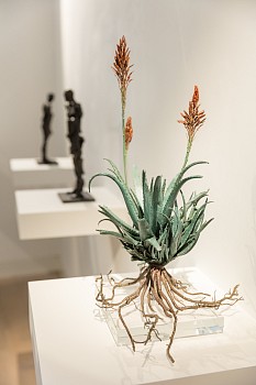 Everard Read Bronze Steel & Stone Dan Weill Photography