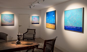 Sasha Hartslief install Everard Read Dan Weill Photography