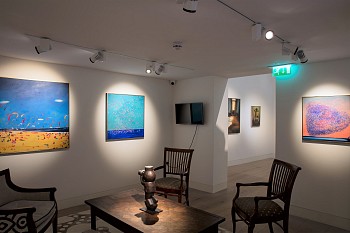 Sasha Hartslief install Everard Read Dan Weill Photography