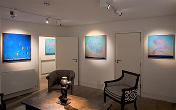 Sasha Hartslief install Everard Read Dan Weill Photography