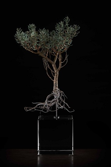 NIC BLADEN, Crassula tetragona
Bronze  and silver