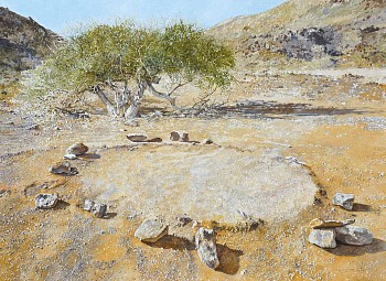 Boscia albitrunca and remains of Rush mat House, 110 x 150cm, oil on canvas