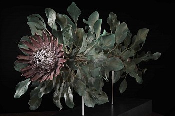 NicBladen Protea cynaroides bronze 67 x 55 x 145cm