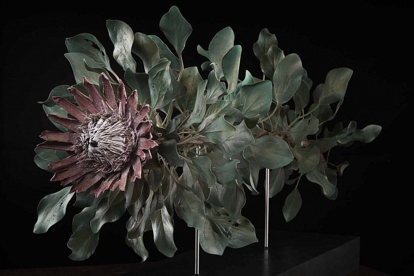 NIC BLADEN, Protea cynaroides
Bronze and silver on stainless steel base