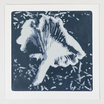 natural selection no.4