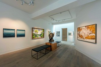 Everard Read Summer Show 2018 Dan Weill Photography