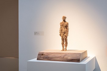 Everard Read Papetti & Demetz