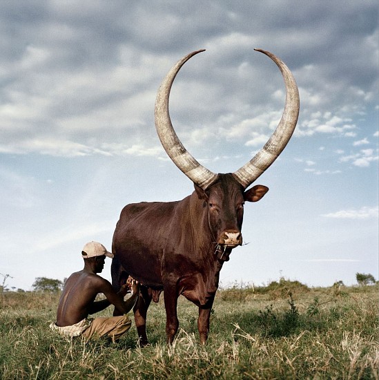 DANIEL NAUDÉ, Ankole 3. Outside Mbarara, Kiruhura district, Western Region, Uganda, 2012 (Sightings of the Sacred), 2014
C-Print, Lightjet on Fujifilm professional paper, Dibonded on aluminium