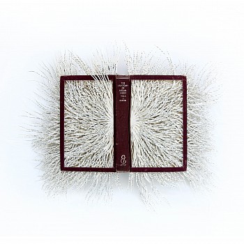 The Anatomy of Melancholy