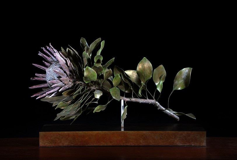 NIC BLADEN, Protea cynaroides
Bronze