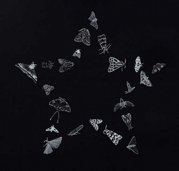 Stellar (second state)