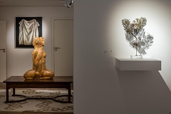 Everard Read Southern Aspect Dan Weill Photography