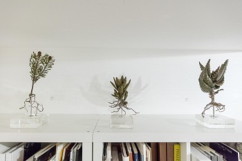 Everard Read Southern Aspect Dan Weill Photography