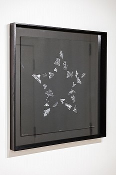 Everard Read Southern Aspect Dan Weill Photography