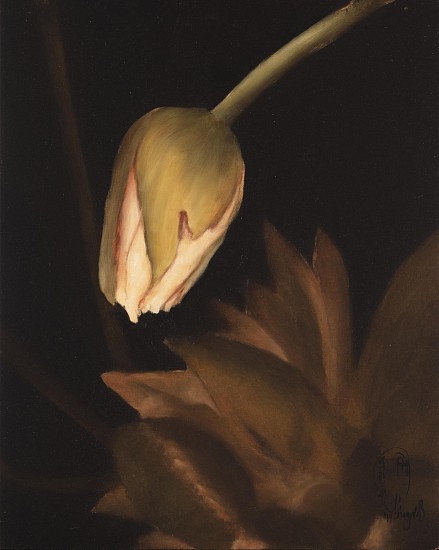 SHANY VAN DEN BERG, Lily Portrait I
Oil on board in copper frame