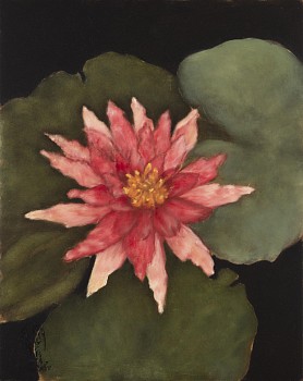 Shany van den Berg, Lily Portrait V, oil on board, 30 x 24 cm