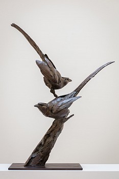 Everard Read Scrimgeour & Stutterheime Dan Weill Photography 101 low