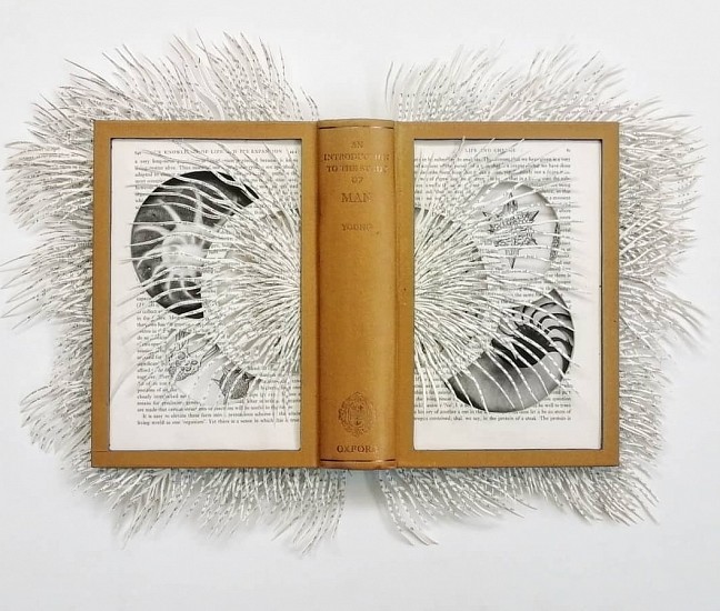 BARBARA WILDENBOER, The Study Of Man
Altered book