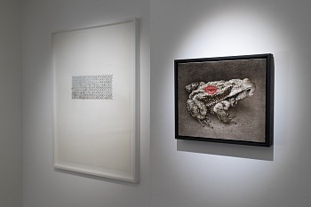 AGAINST INTERPRETATION Everard Read London (30)