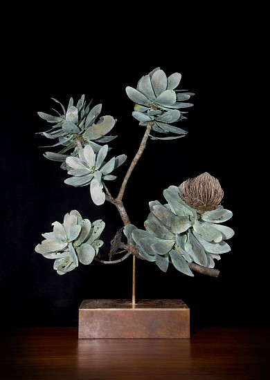 NIC BLADEN, Protea Nitida Branch
Bronze