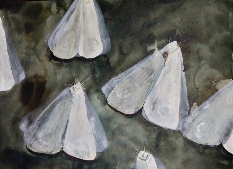 TANYA POOLE, Night Thought #15
Ink and watercolour on paper