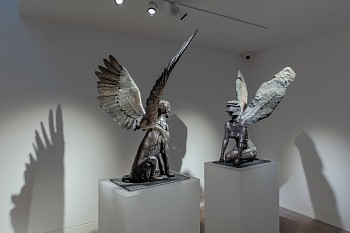 Everard Read Angus Taylor Oct20 Dan Weill Photography