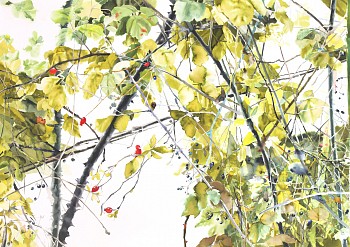 low Hedgerow Composition #1 ink on paper 86 x 120cm 2020