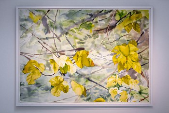 Everard Read Winter Exhibition 2020 Dan Weill Photography