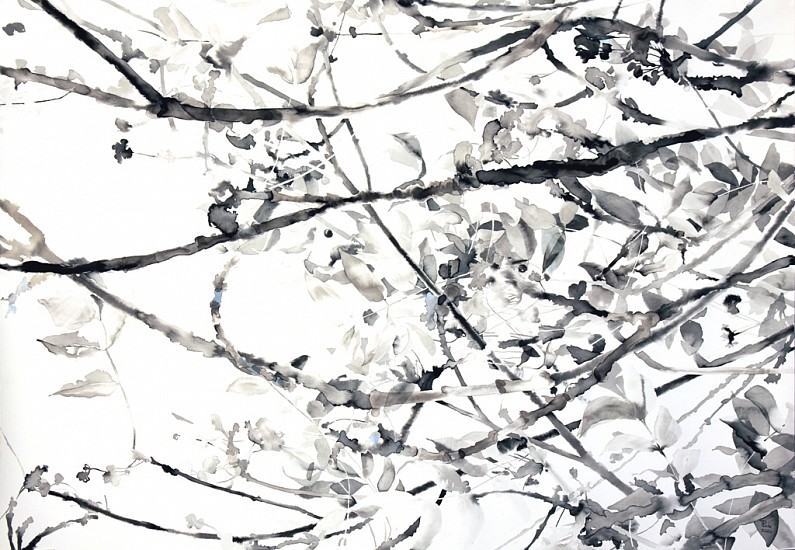 TANYA POOLE, Tree Composition #1
Ink on paper