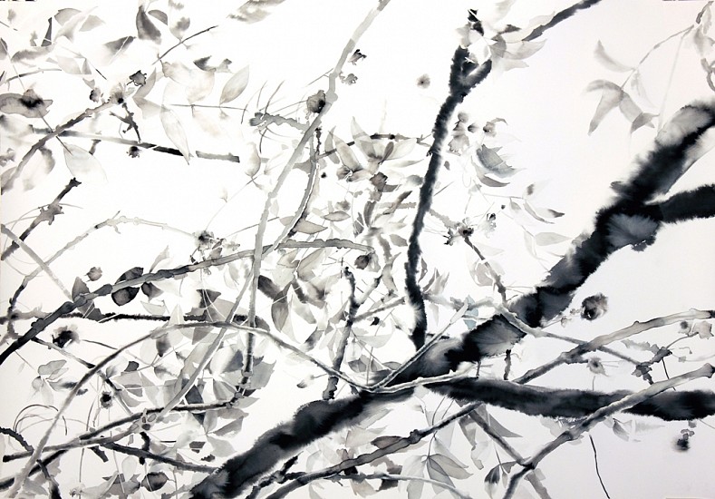 TANYA POOLE, Tree Composition #2
Ink on paper