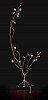 Erica urna viridis s jpeg