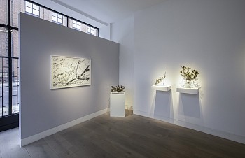 008A7344 copy low res