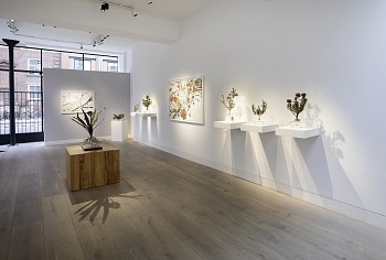 008A7336 copy low res