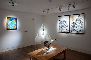 Everard Read Transitory Terrains