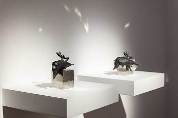 Everard Read Transitory Terrains