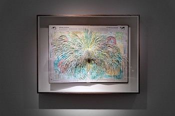 Everard Read Transitory Terrains