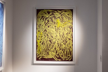 Everard Read Transitory Terrains