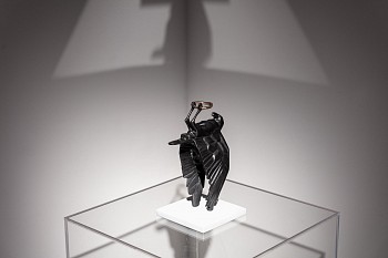 Everard Read Transitory Terrains